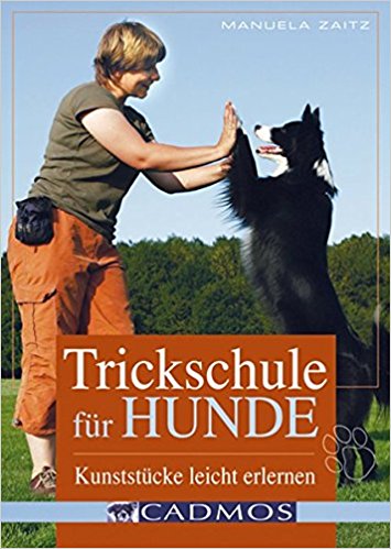 Buch Auslastung Tricks