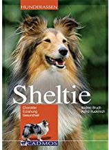 Buch Sheltie Ratgeber 02