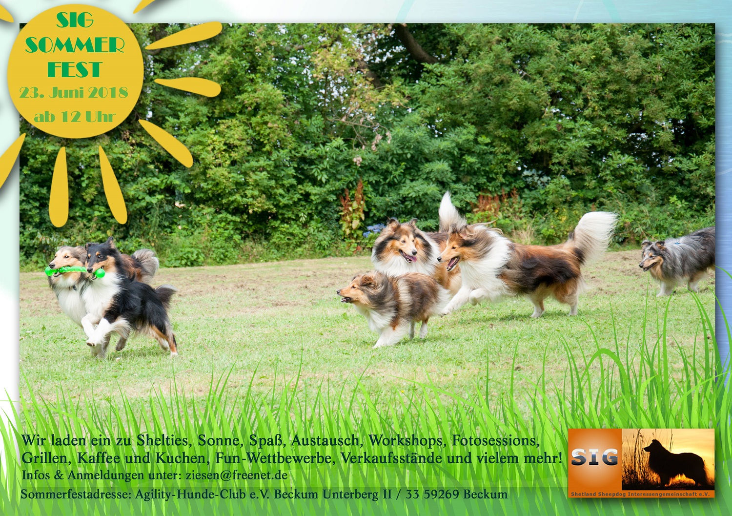 SIG Sommerfest 23062018