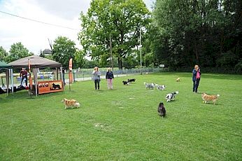 Sommerfest 23062018 Bericht 10