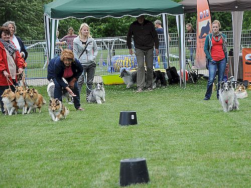 Sommerfest 23062018 Bericht 5