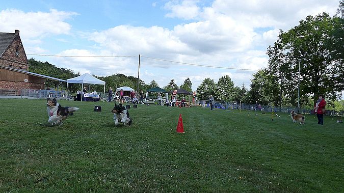 Sommerfest 23062018 Bericht 6