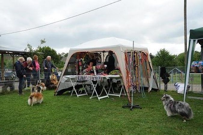 Sommerfest 23062018 Bericht 7